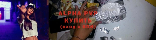 ECSTASY Белокуриха
