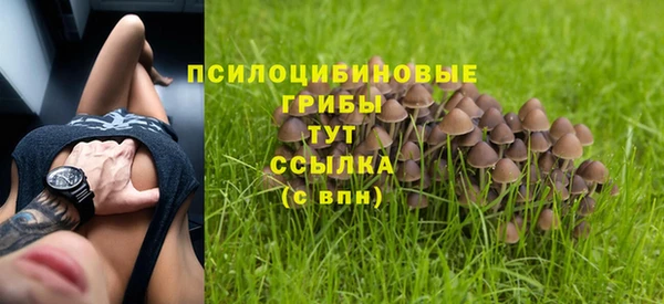 ECSTASY Белокуриха