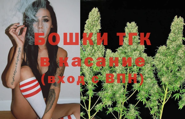 ECSTASY Белокуриха